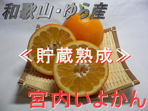 �����n�����悩��