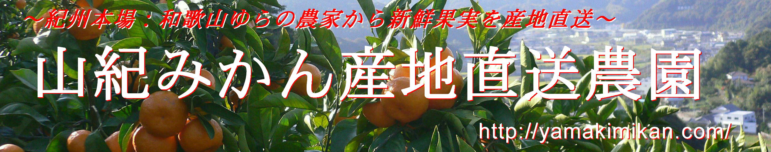 �a�̎R�݂���