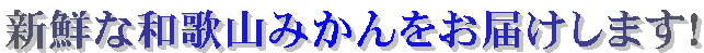 �V�N�Șa�̎R�݂�������͂����܂��I