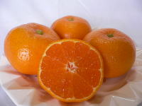 和歌山みかん 商品イメージ