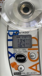 ゆら早生みかん 商品画像